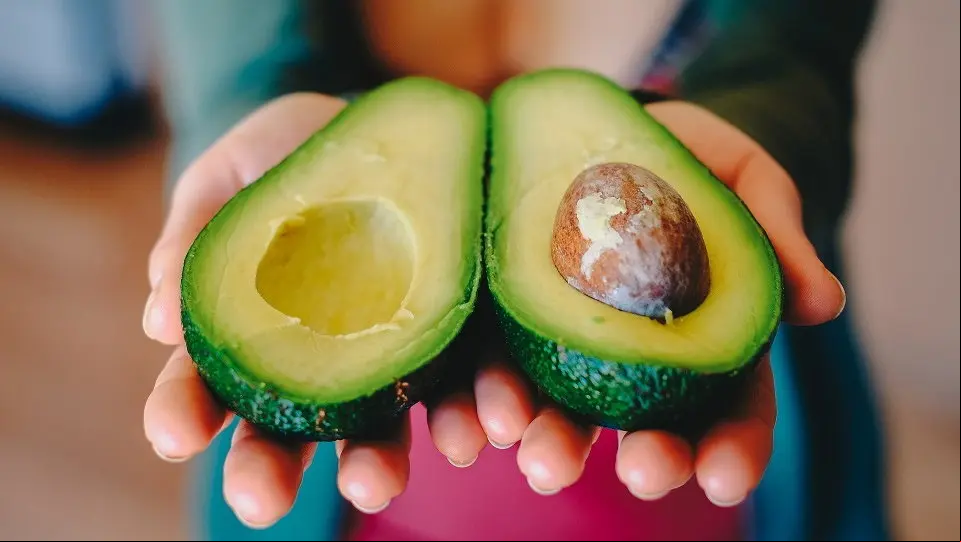 aguacate
