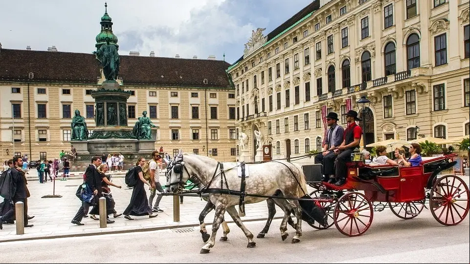 viena 960