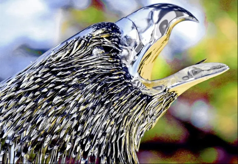 pajaro
