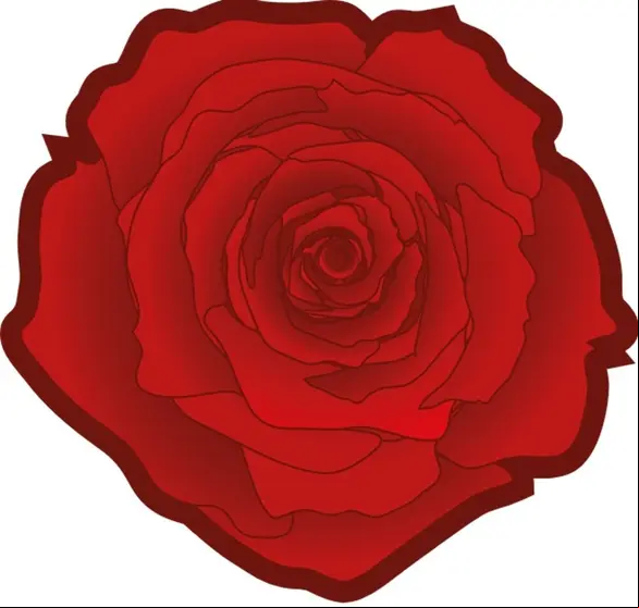 rosa
